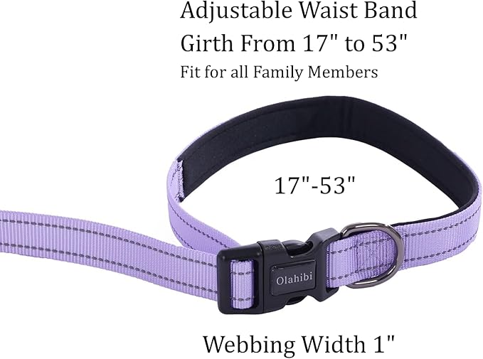 Hands Free Dog Leash, No Pull Bungee Dog Running Waist Leash, with Car Seat Belt, Reflective Stripes, Heavy Duty for Medium and Large Dogs. (Solid Lilac, Large)