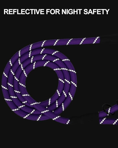 Joytale Dog Leash for Large Dogs, Heavy Duty Nylon Leashes with Comfortable Padded Handle and Highly Reflective Threads, Ideal for Walking and Training, Purple, 6'×1/2''