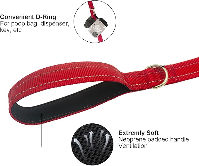 Dual Padded Handle Walking and Training Standard Leashes for Large Breed Dogs that Pull with Reflective Stitching, 360° Rotatable Heavy Duty Metal Buckle,D-Ring,Durable Nylon, 6Ft Long for Big Dogs