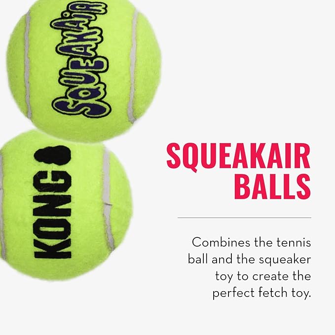 KONG Cozie Ali Alligator & SqueakAir Balls (3 Pack) - Dog Fetch & Chew Toys for Fun - Soft Toy Alligator for Indoor Play - Durable Dog Toy Balls for Outdoor Play - for Small Dogs
