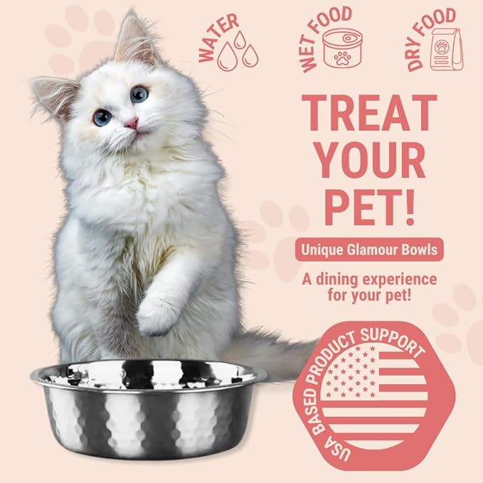 2pcs Stainless Steel Dog Bowls, Hammered Thickened Metal Dog Bowl Feeding or Water Bowls for Small/Medium/Large Sized Dogs & Cats Stackable Metal Cat Bowl Dishwasher Safe, Silver