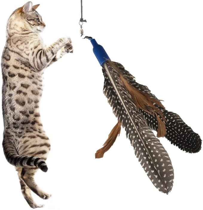 Free Cat Wand Toy with Feather and Bells and Replacement Feathers (24 Pack) Refill for Da Bird GoCat Toy Top Choice Teaser Interactive Play for Kittens All Natural Genuine Guinea Feathers