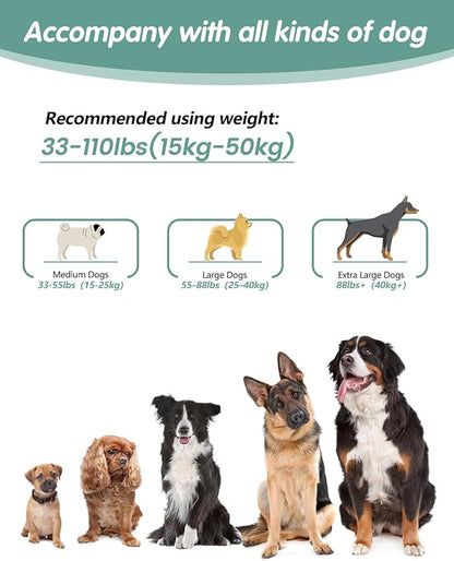 Hands Free Dog Leash, Multifunctional Crossbody Dog Leash, 5.9-9.5Ft Long Waist Belt with Car Seatbelt and Double-Sided Reflective Stitches for Medium and Large Dogs Walking, Jogging(Green)