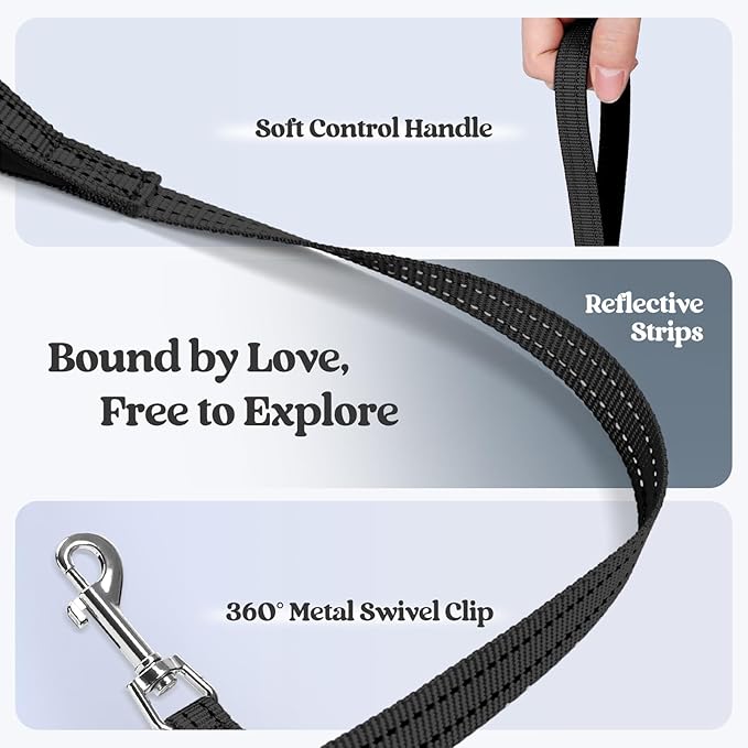 rabbitgoo Dog Harness Small Sized and Leash Set, Step in Soft Light Puppy Vest, Breathable Mesh Pet Harness, Reflective for Safe Easy Walking, Black XXS