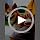 Dog Travel Water Bottle Detachable Bowl Leak Proof Portable ，Silicone Bottle Body，Collapsible and Suitable for Small Pets for Outdoor Walking, Hiking, Travel (Gray, 200ml) - Image 7