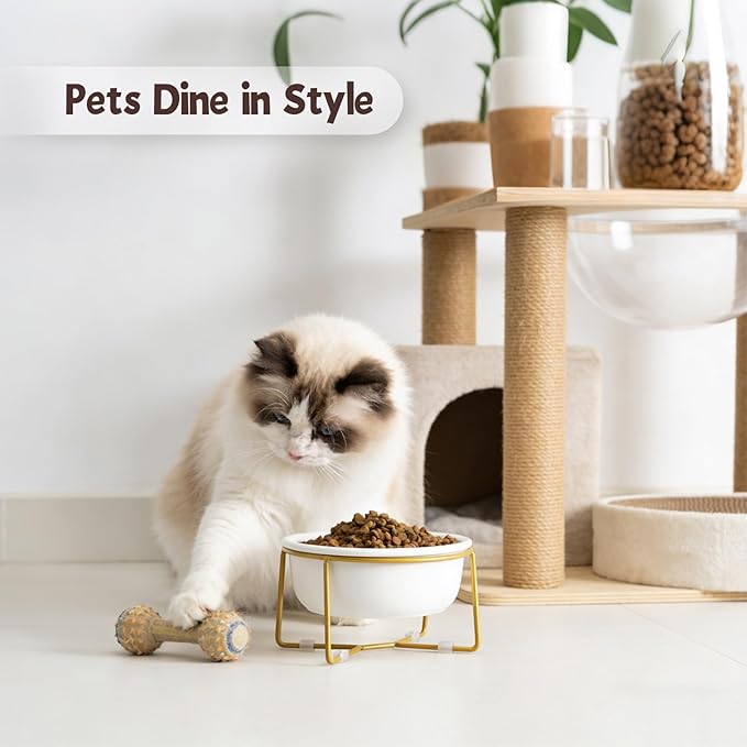 Elevated Ceramic Dog Bowl with Metal Stand - Raised Feeding Dish for Small Dogs and Cats - Ideal for Food or Water - Each Holds 400ml / 2 Cups (Approx. 200g) - White