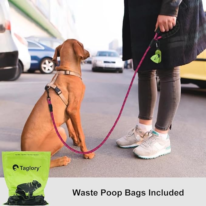 Taglory Rope Dog Leash 4 FT with Comfortable Padded Handle, Highly Reflective Threads Leash and Anti-Tangle Clip for Walking Small Dogs, 3/8 inch, Hotpink