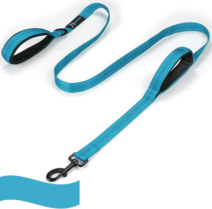 PuppyDoggy Dog Leash for Large Medium Dogs - 6 ft Reflective Stitching With 2 Traffic Padded Handles, Lead Rope for Running Walking Training (Blue 1 Pack)