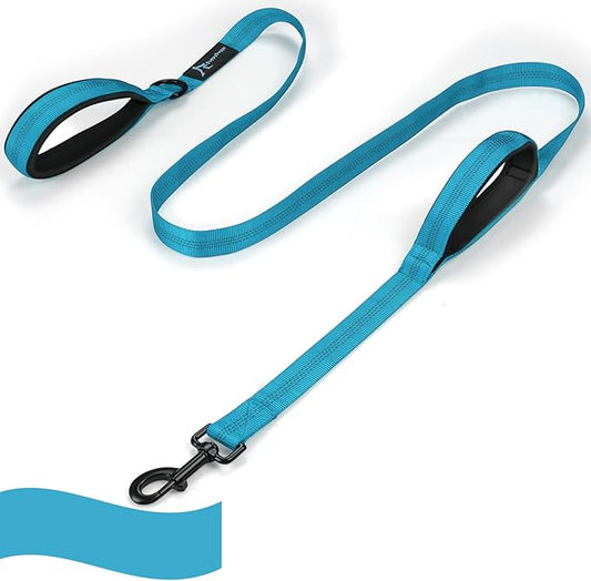 PuppyDoggy Dog Leash for Large Medium Dogs - 6 ft Reflective Stitching With 2 Traffic Padded Handles, Lead Rope for Running Walking Training (Blue 1 Pack)
