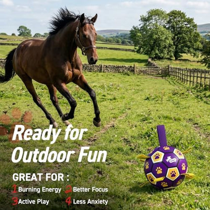 QDAN Extra Large Dog Toy Soccer Ball, Durable Dog Balls with Straps, 9 Inch - Image 3