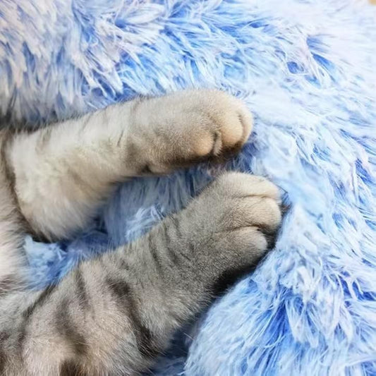 Cat Beds for Indoor Cats - Cat Bed Washable 24 inches, Dog Beds for Small Medium Dogs, Anti Anxiety Round Fluffy Plush Faux Fur Cat Bed, Thick Bottom (Cornflower Blue, Large 24" L x 24" W) - Image 2