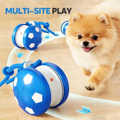 Interactive Dog Toys, 2026 Upgraded Motion-Activated Electric Automatic Rolling Ball with Rope, Random Path Movement, Rechargeable Boredom Relief Toy for Small Medium Large Dogs (Blue)