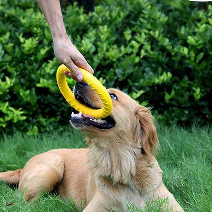 Andy's Orchids Dog Chew Toys - Aggressive Chewer & Training Ring for Outdoor & Indoor Play - Floating Disc & Interactive Pull Toy for Small to Large Dogs