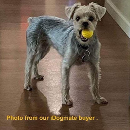 1.75" Durable Balls for Small Dogs, Ball Dog Toy for Small Launcher, Dog Balls,Durable, Washable (3pcs)