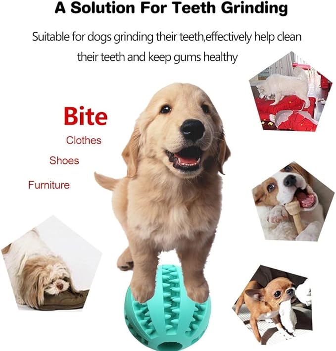 Idepet Dog Toy Ball, Nontoxic Bite Resistant Toy for Dogs & Cats, Dog Food Treat Feeder, Chew Tooth Cleaning Exercise Game & IQ Training Ball (2 Pack - Blue & Green, 1.95 inch)