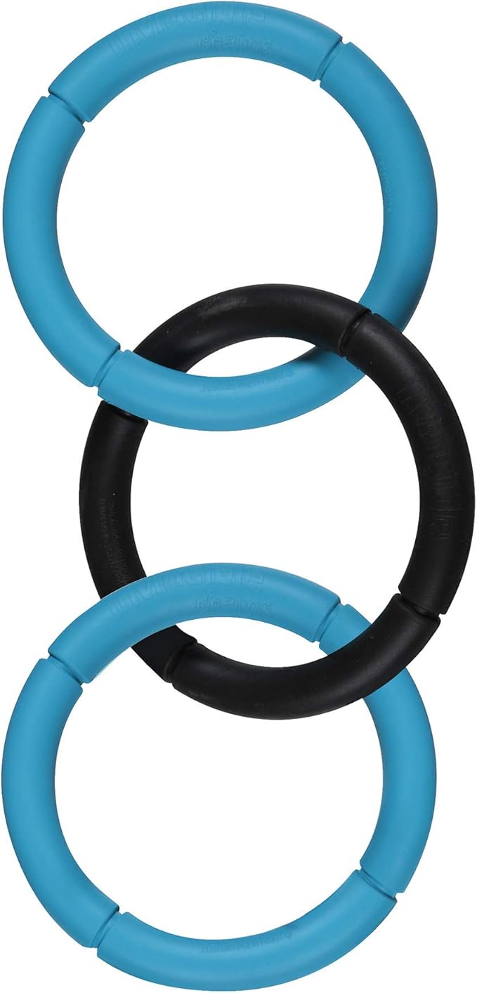 JW Pet Interactive Rubber Tug & Chew Toy Dog Toy, Large