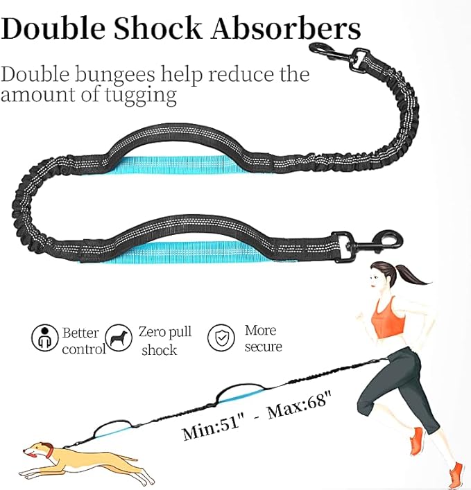 Hands Free Dog Leash with Waist Zipper Pouch, Dual Padded Handles and Dual Bungee Shockabsorbing Leash with Safety Reflective Strip for Walking, Jogging and Running Your Dog (Blue)
