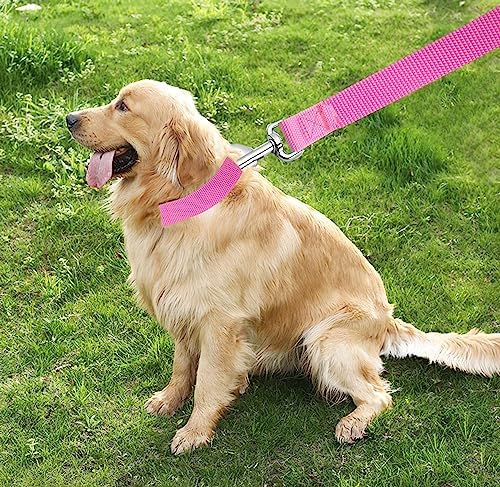 TAIAN 4FT/5FT/6FT Strong Dog Leash, Nylon Dog Leashes for Small Medium Large Dogs (Pink, 1 in x 10 ft) - Image 7