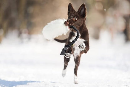 Dingo tug Toy for Dog, Natural Fabric, Sheepskin Toy, for Chasing Motivation Reward Agility, Bungee Handle, Black 98500