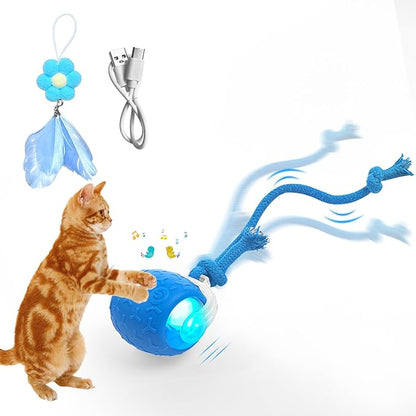 Interactive Cat Toys: Agile Moving Ball with Elastic Mesh Tail for Indoor Cats and Kittens