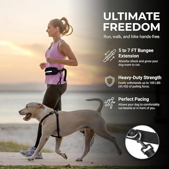 Tails & Tales Hands Free Dog Leash with Lightweight Waist Pouch for Walking Running Hiking, Adjustable Belt 25-45", Dual Padded Handles, Reflective Bungee Design for Small to Large 100lb Dogs (Gray)