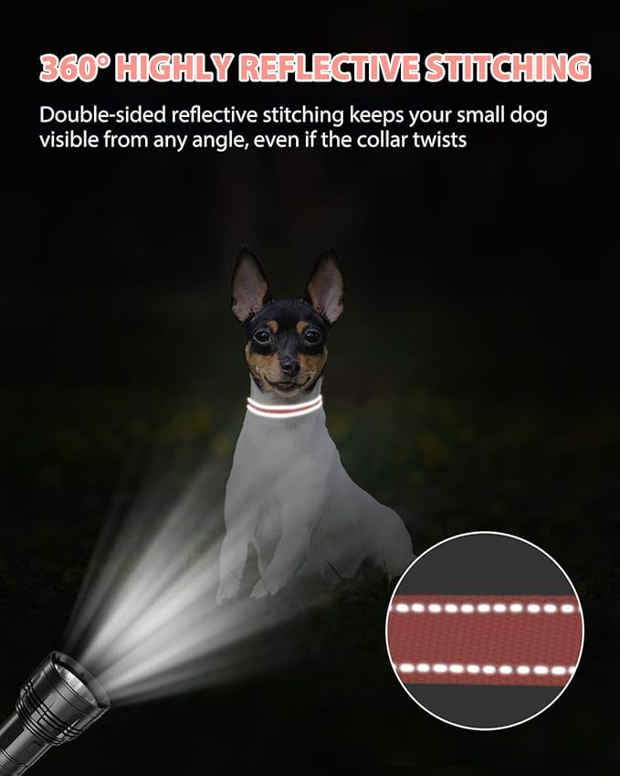 Joytale Puppy Collar, Feather-Light Double-Sided Reflective Nylon Collar for Night Safety, Adjustable Quick-Release for Extra Small Dogs, Pink, XS (3/8" Width)