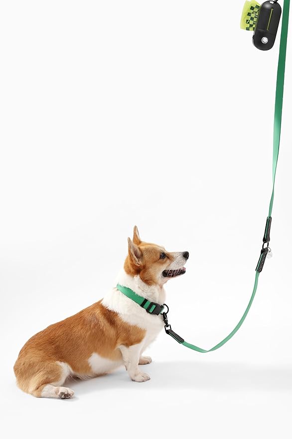 WLK1005K-5SET Luna Medium 8FT Adjustable 6-in-1 Waterproof Hands-Free Leash and Collar with LED Flashlight, Bag Dispenser, and Poop Bag Holder, Julep