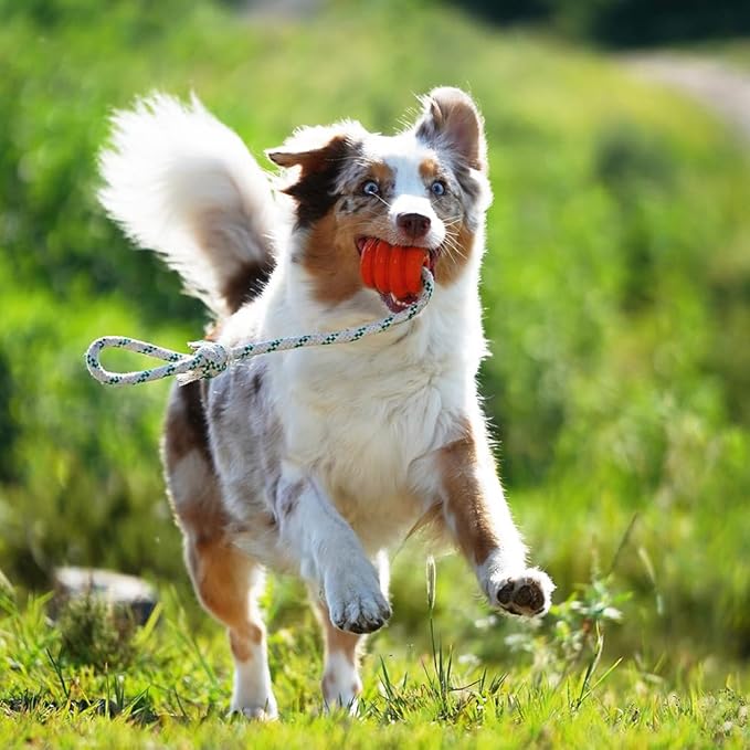 Green Sheep Natural Rubber Ball Rope Toy for Dogs, Interactive Dog Ball with Recycle Cotton Rope, Tug of War Dog Toy for Small to Large Dogs, Tough Dog Toys for Outdoor Play, Orange