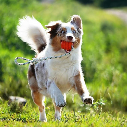 Green Sheep Natural Rubber Ball Rope Toy for Dogs, Interactive Dog Ball with Recycle Cotton Rope, Tug of War Dog Toy for Small to Large Dogs, Tough Dog Toys for Outdoor Play, Orange