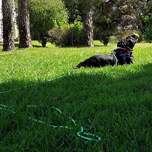 BTINESFUL 8ft Dog Tie-Out Rope, Long Tether 12/20/30/50/75ft Dog Yard Lead - Image 5