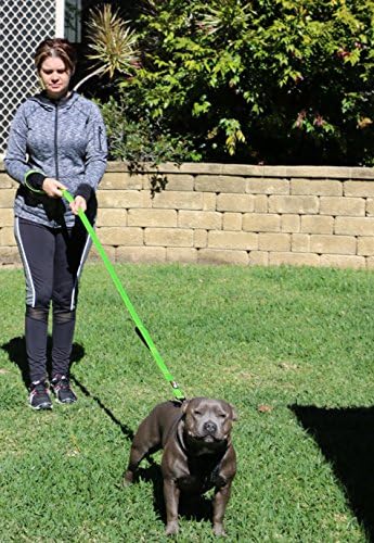Primal Pet Gear Dog Leash 6ft Long,Traffic Padded Two Handle,Heavy Duty,Reflective Double Handles Lead for Control Safety Training,Leashes for Large Dogs or Medium Dogs,Dual Handles Leads(Green) - Image 4