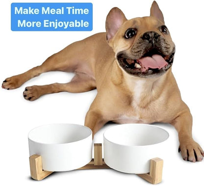 Ceramic Cat and Small Dog Bowl Set – Modern Indoor Small Size Pet Food and Water Bowls with Wood Stand – Non Slip Puppy Sized Feeding Station with Double Dishes (White)