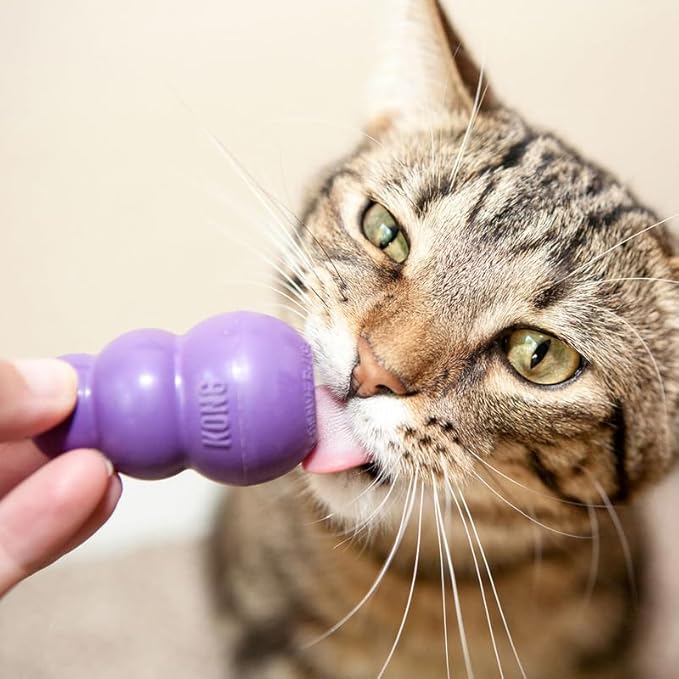 KONG Kitty Classic Cat Toys – 2 Pack – Fillable Treat-Dispensing Toy for Cats – Bounces & Rolls for Interactive Play – Encourages Healthy Exercise & Mental Stimulation
