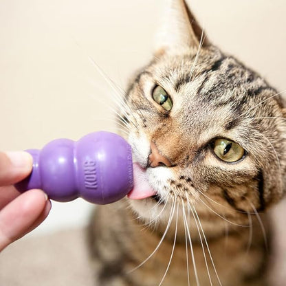 KONG Kitty Classic Cat Toys – 2 Pack – Fillable Treat-Dispensing Toy for Cats – Bounces & Rolls for Interactive Play – Encourages Healthy Exercise & Mental Stimulation