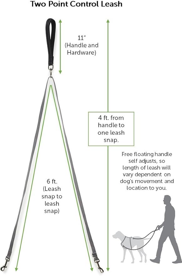 PetSafe Two Point Control Leash, Padded and Reflective Nylon, Converts to Single Leash, Works with 3in1 Harnesses, 3/4 in. Wide