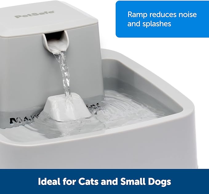 PetSafe Oasys 1/2 Gallon Pet Fountain - Cat & Dog Hydration Station with Free-Falling Water Stream & Customizable Flow - Encourages Hydration & Protects Sensitive Whiskers - 1/2 Gallon