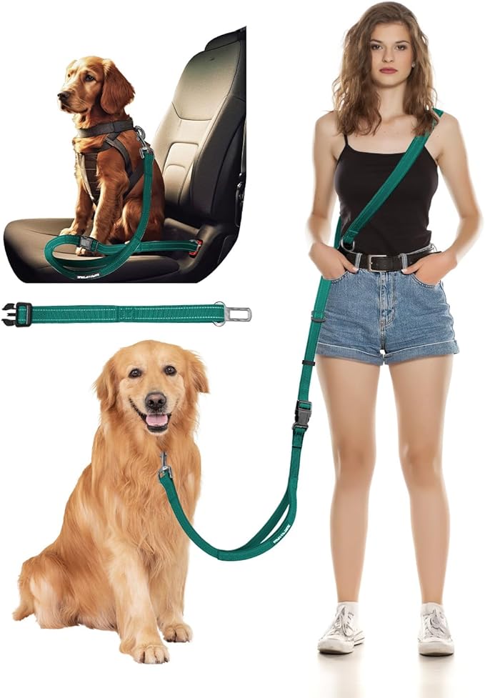 Hands Free Dog Leash, 2-in-1 Detachable Pet Seatbelt,5.9-9.2 ft Crossbody Dog Leash with Double-Sided Reflective for Walking, Hiking, Travel etc.(Orange)
