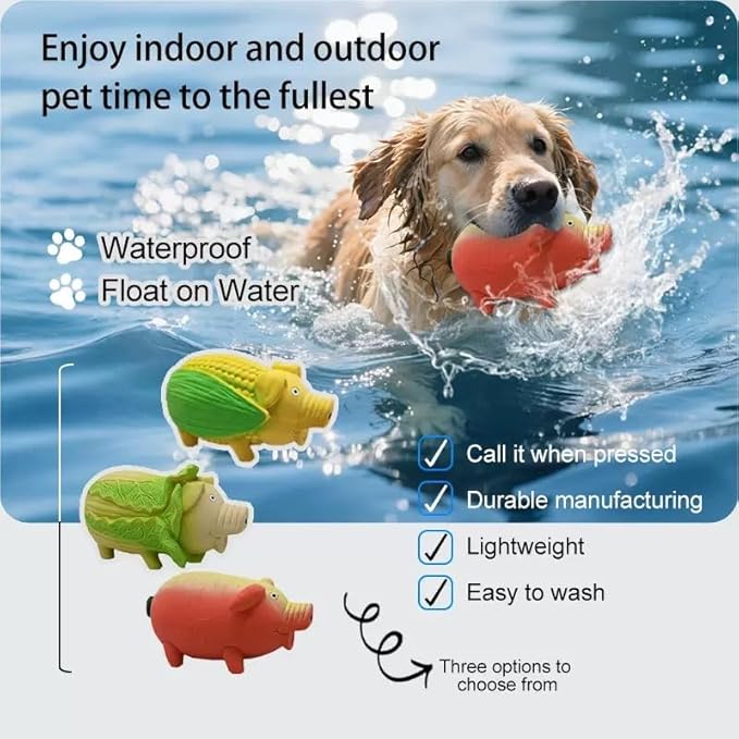 Dog Squeaky Toy, 2 Pack Latex Chew Toys with Oinks Sound Squeaker Cabbage&Carrots Grunting Pig Dog Toy Durable Dogs Squeeze Toy for Small Medium Large Dog Dental Biting Chasing to Kill Boring Time