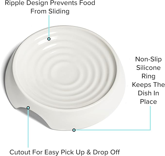 CatGuru Cat Bowls, Whisker Friendly Food Bowl for Indoor Cats, Reliefs Whisker Fatigue, Wide Kitten Dish, Non Slip Pet Dishes, Shallow Pet Plates (Ceramic, White, (Pack of 1))