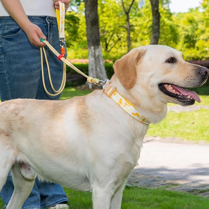JSXD Dog Leash and Collar Set with AirTag Holder for Small Medium Large Dogs,5 FT Double Rope Leashes with Adjustable Reflective Soft Padded Nylon Pet Collars (Yellow, Small)