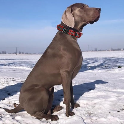 Christmas Tactical Dog Collar Adjustable Nylon Dog Collar Metal Buckle with Handle for Dog Training (Christmas Green XXL)