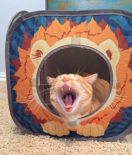 Kitty City Safari Jungle Cat Play Set, Collapsible Pop-Up Cat Toys Combo with Cube, Tunnel & Hideout, Interactive Indoor Kitty Playhouse for Exercise, Hiding & Lounging - Image 2
