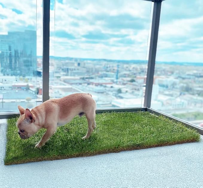DoggieLawn Dog Potty - Real Grass - XLarge 24x48 inches