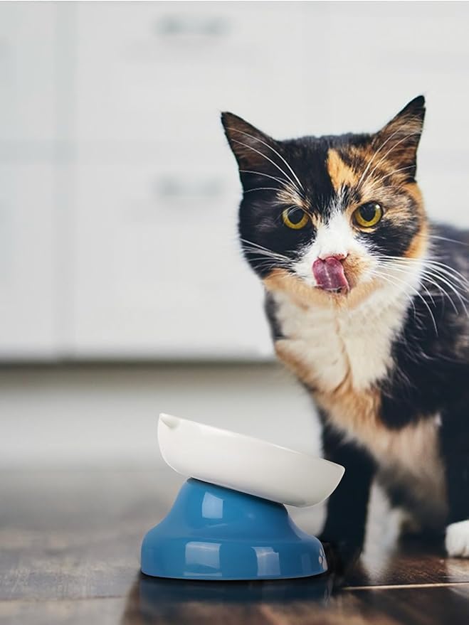 Y YHY Ceramic Slow Feeder Cat Bowl, Elevated Cat Bowl Tilted Design Slow Feeder for Dog and Cat for Dry and Wet Food, Blue