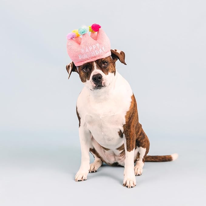 Fringe Studio Plush Dog Toy, If The Crown Fits, Pet Shop Collection (314209)