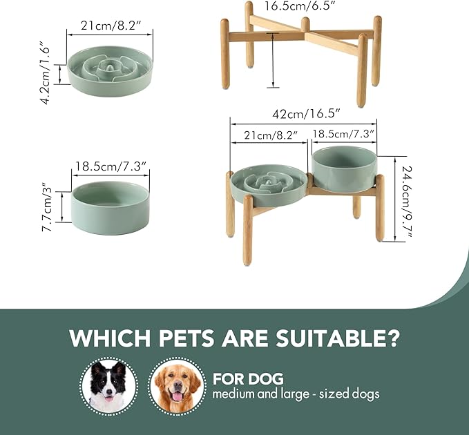 Ceramic Raised Slow Feeder Dog Bowl Set, Elevated 7.3inch Bowl and 8.2inch Puzzle Slow Dish with Wooden Stand for Medium and Large Dog, Anti-Gulping (2X Light Green+ Stand)