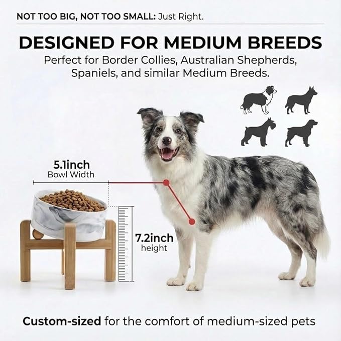 hjn Elevated Ceramic Dog Bowl 15°Slanted Raised Dog Bowl with Bamboo Stand for Small Medium Dogs and Cats, Pet Feeder -3.6-Cup (850ml)-Marble Gray