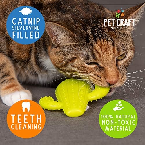 Pet Craft Supply Cactus Interactive Cat Toy Chew Toy Teeth Cleaning Bite Resistant 100% Natural Rubber with Bonus Catnip and Silvervine Bags for Kittens and Adult Cat - Image 2