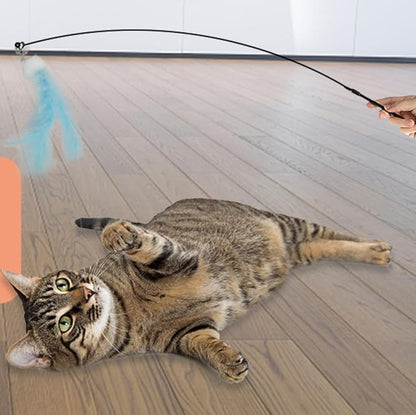 Cat Toy Wand Interactive Toys for Indoor Cat 6 in 1 Natural Bird Feather Ball Toys Pet Dancing Playing Kitten Cat Having Fun Exerciser Toy 3 Wands and 3 Assorted Teaser Refills