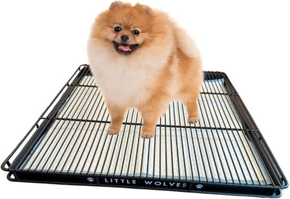 Little Wolves Puppy Potty Tray – 22x22 Shred-Proof Heavy-Duty Training Tray for Puppies & Small Dogs, Easy-Clean, Indoor Dog Pee Pad Holder (Small Gap)